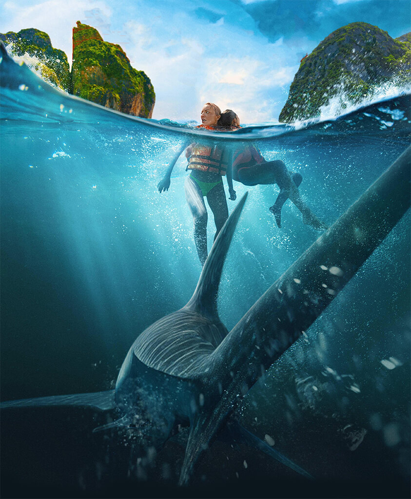 The Bay viewing guide artwork